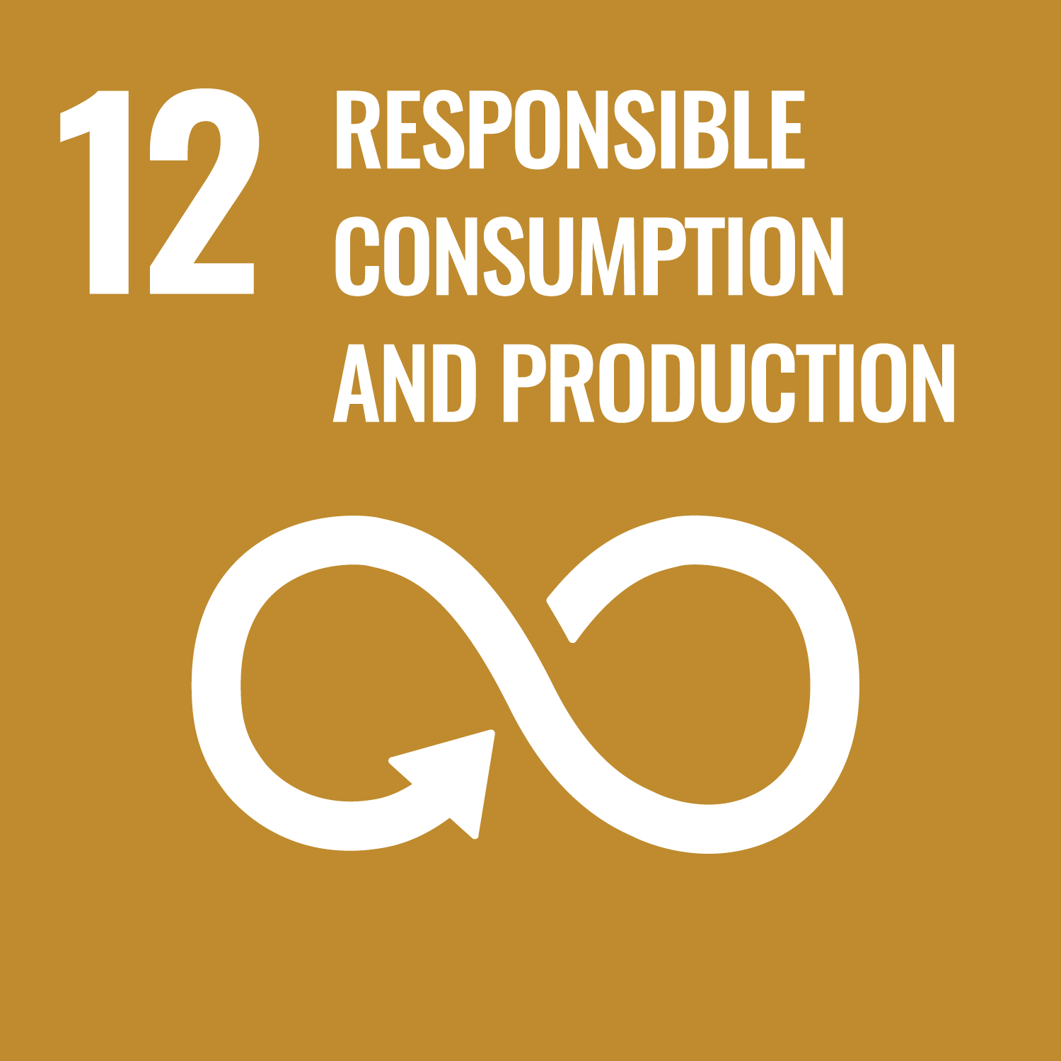 Nachhaltige Konsum- und Produktionsmuster